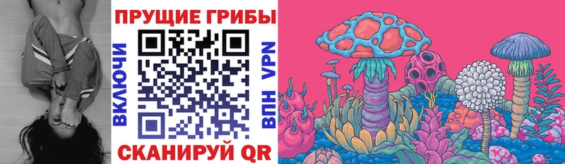 Галлюциногенные грибы мицелий  Остров 